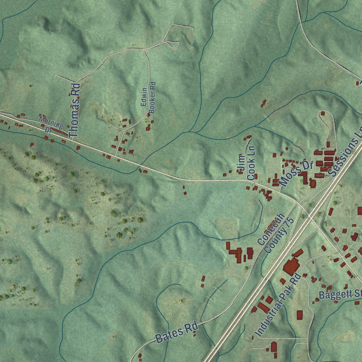 Second close-up of the map of Evergreen, Alabama print showing more streets and buildings