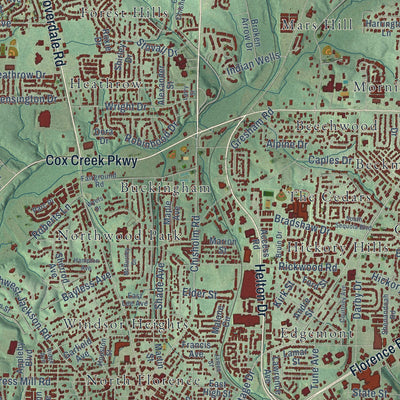 Close-up of the map of Florence, Alabama print showing street and building detail