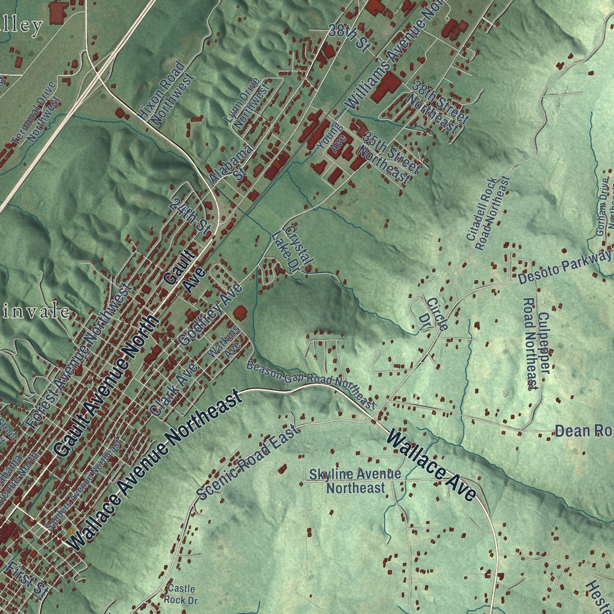 Close-up of the map of Fort Payne, Alabama print showing street and building detail