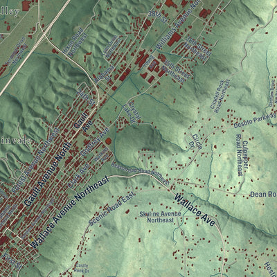 Close-up of the map of Fort Payne, Alabama print showing street and building detail