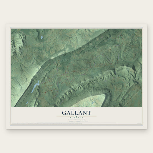 Gallant, Alabama map print, the full design