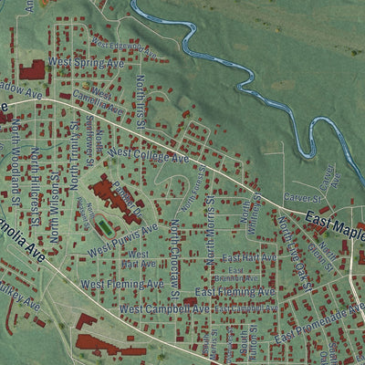 Close-up of the map of Geneva, Alabama print showing street and building detail