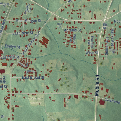 Close-up of the map of Georgiana, Alabama print showing street and building detail