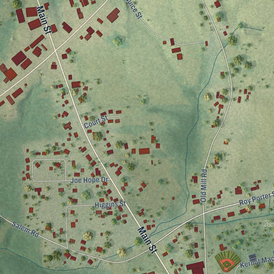 Close-up of the map of Geraldine, Alabama print showing street and building detail