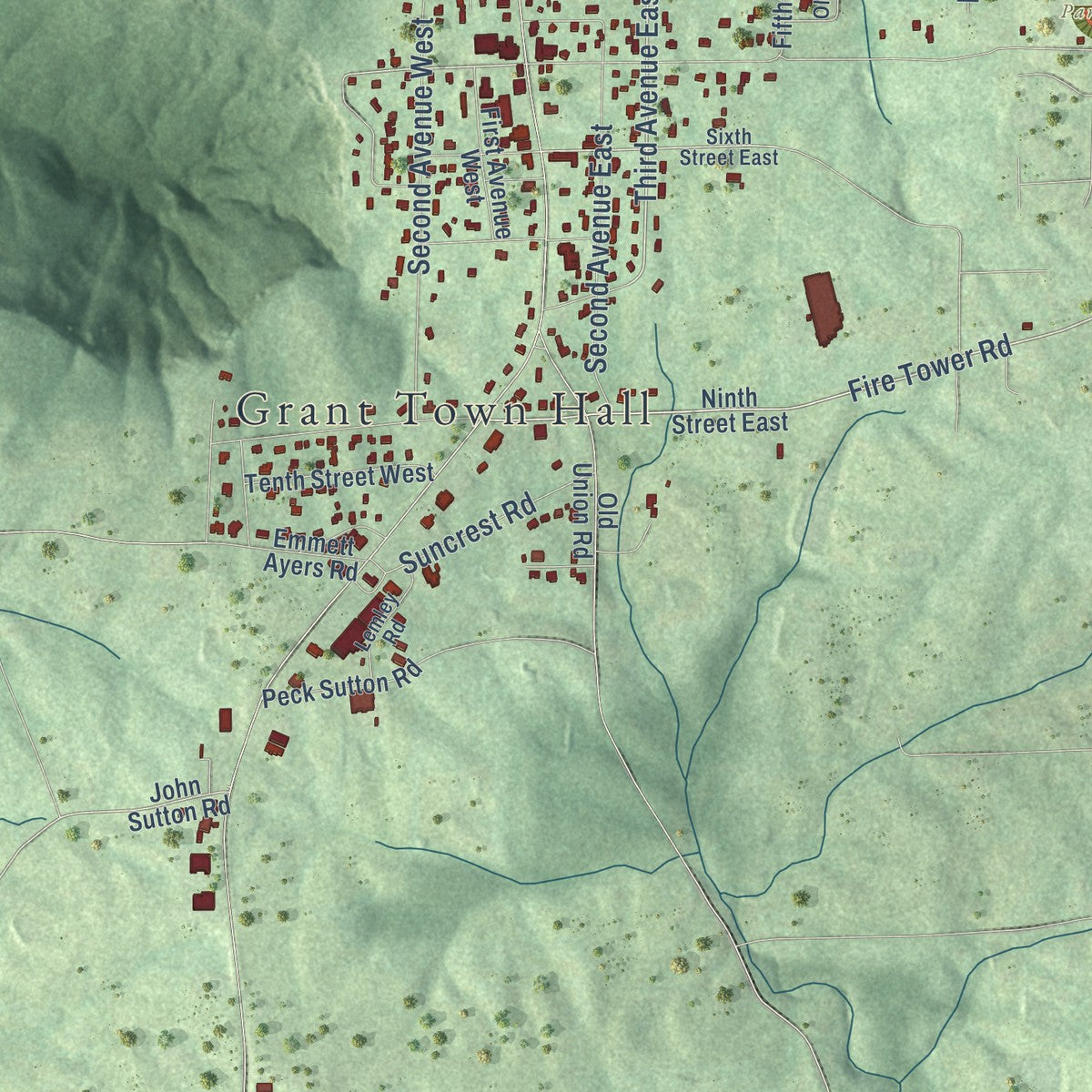 Close-up of the map of Grant, Alabama print showing street and building detail