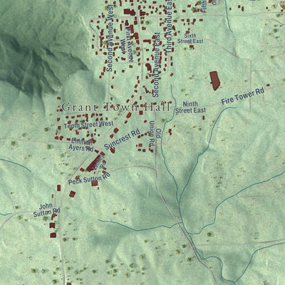 Close-up of the map of Grant, Alabama print showing street and building detail