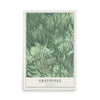 Map of Graysville, Alabama, 12 x 18 inch unframed archival matte print