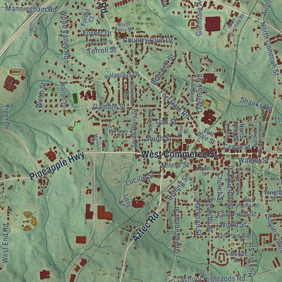 Close-up of the map of Greenville, Alabama print showing street and building detail