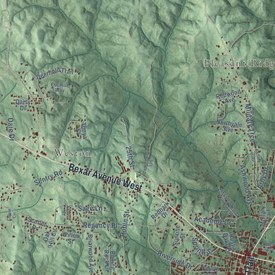Close-up of the map of Hamilton, Alabama print showing street and building detail