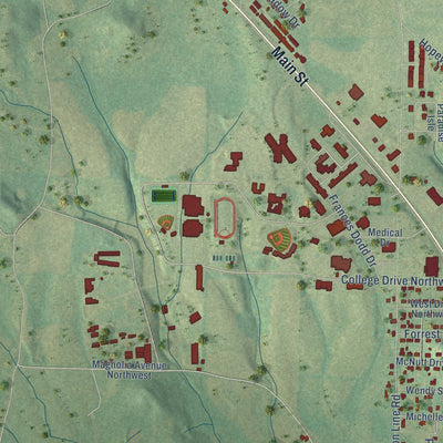 Second close-up of the map of Hanceville, Alabama print showing more streets and buildings