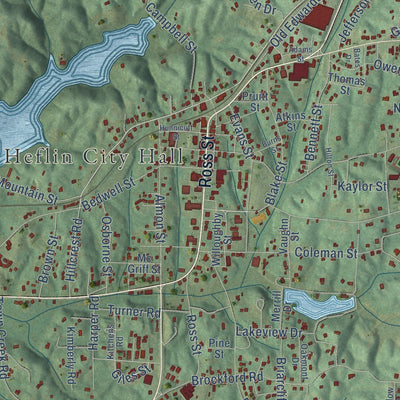 Close-up of the map of Heflin, Alabama print showing street and building detail