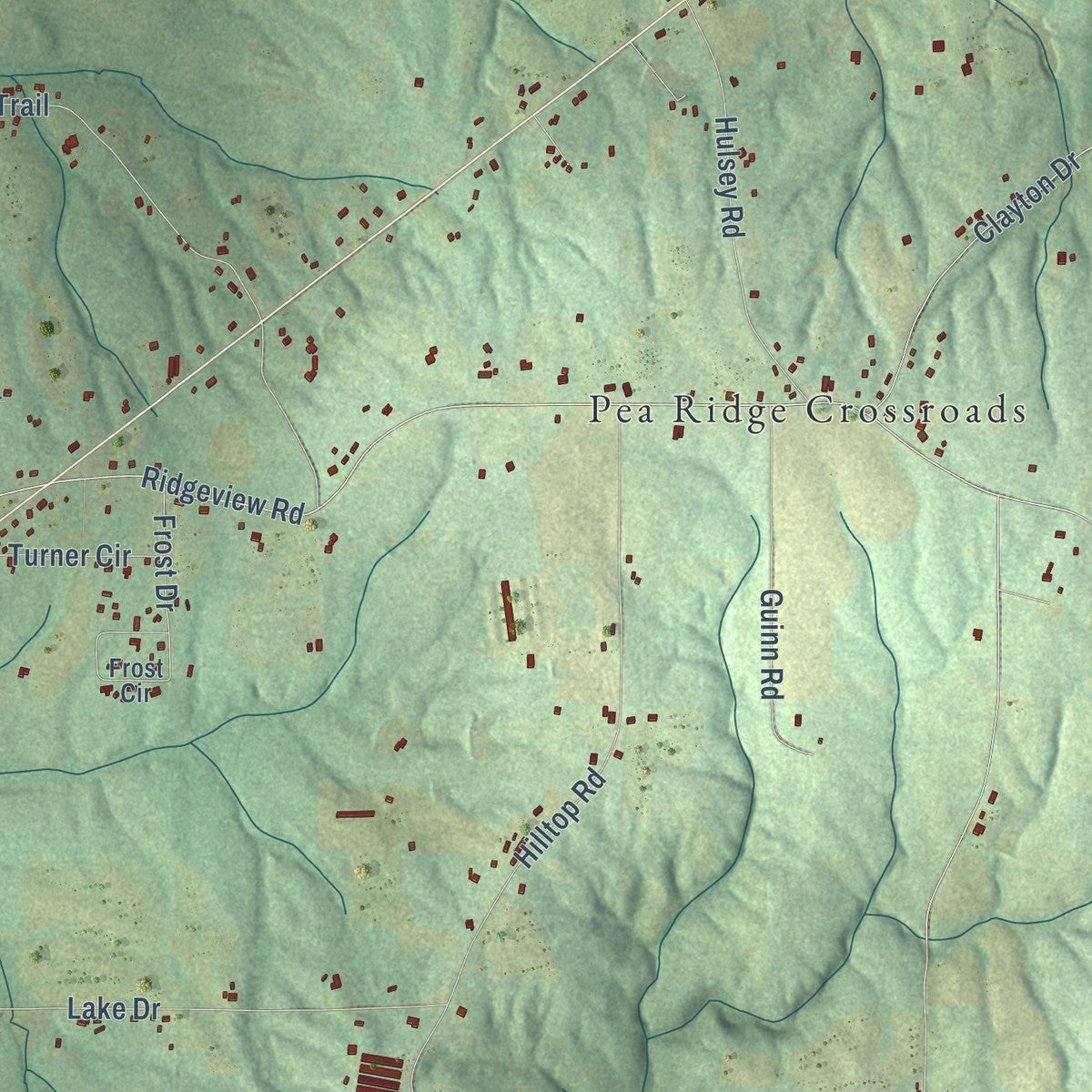 Close-up of the map of Henagar, Alabama print showing street and building detail