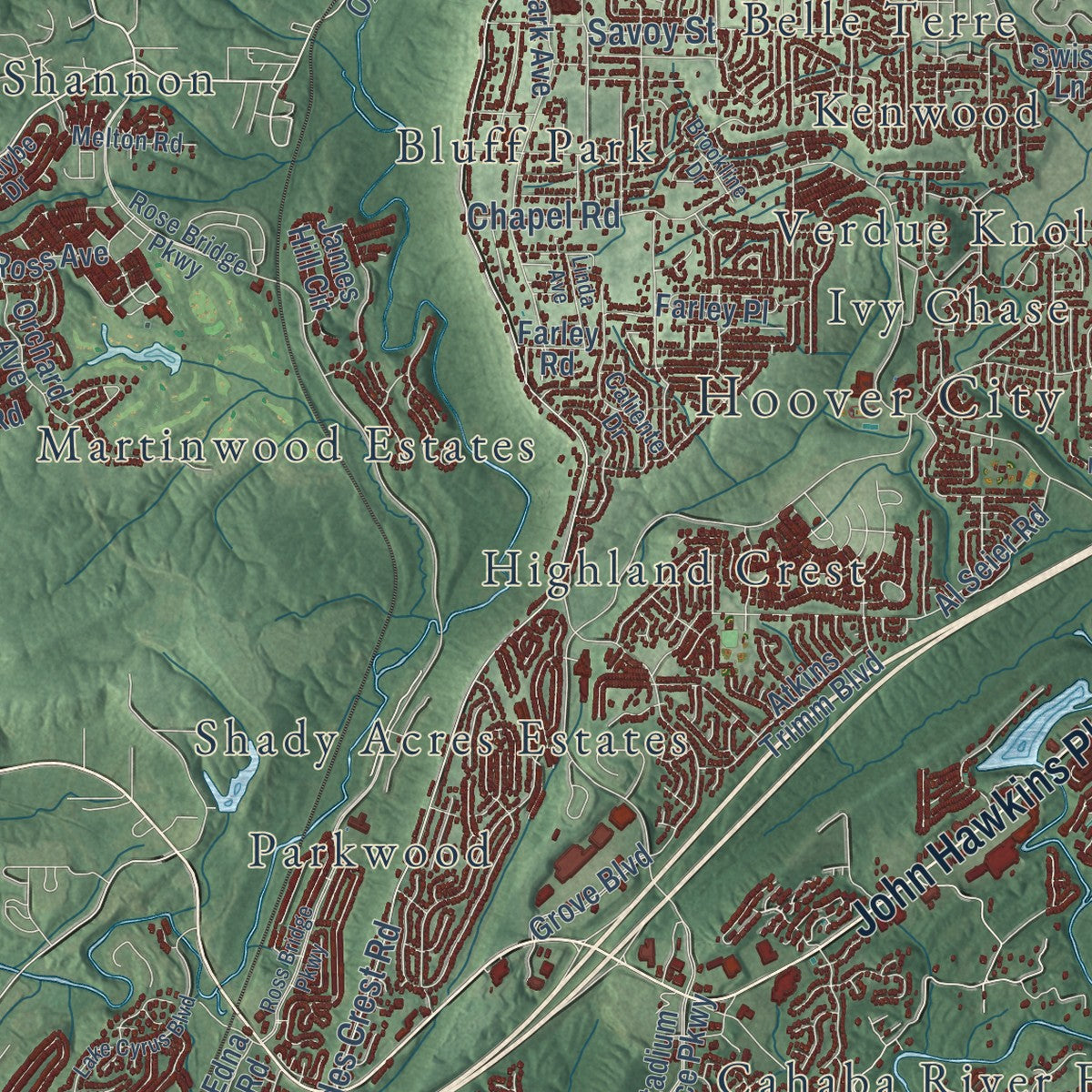 Second close-up of the map of Hoover, Alabama print showing more streets and buildings
