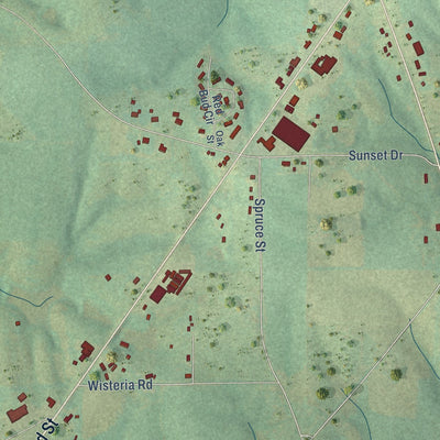 Close-up of the map of Ider, Alabama print showing street and building detail