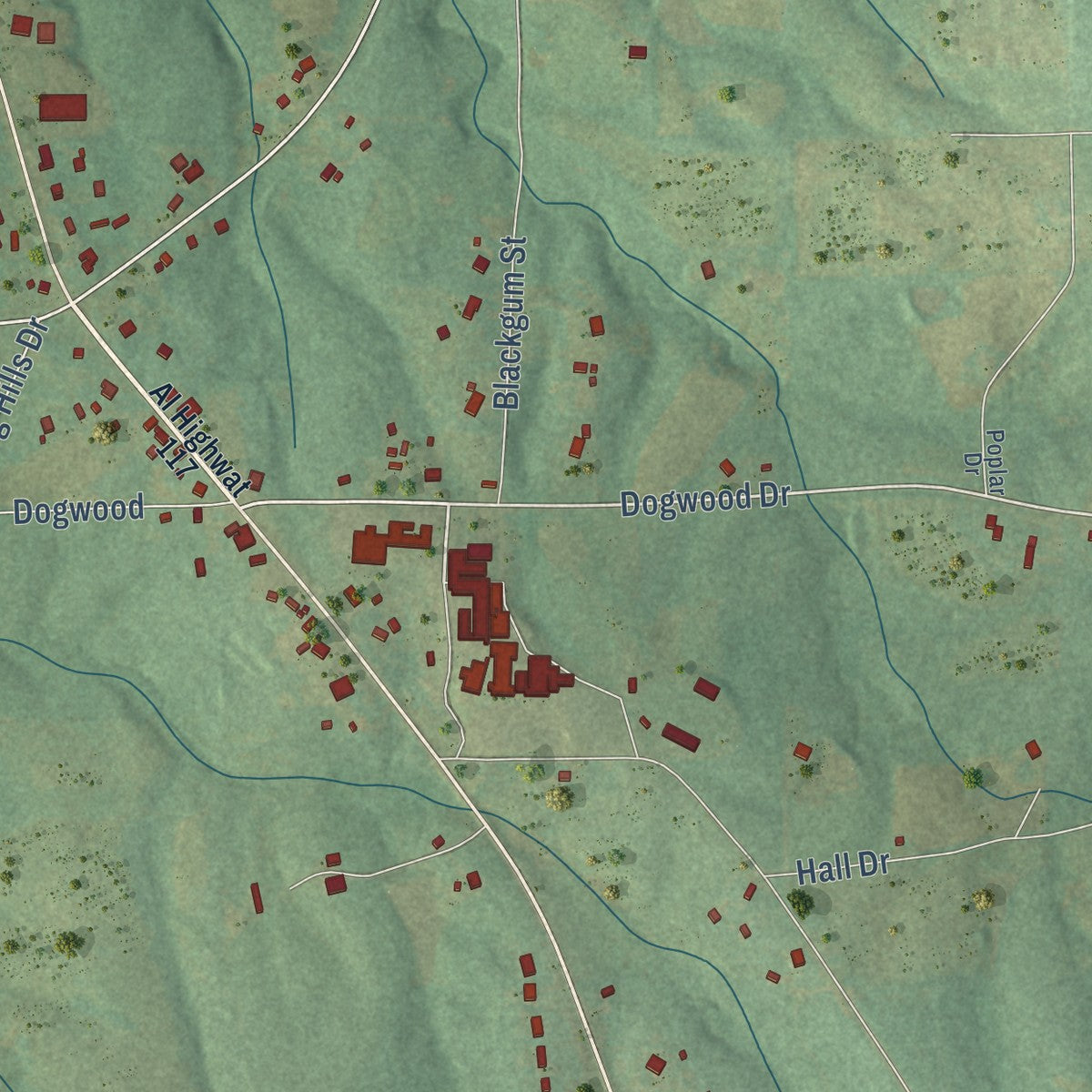 Second close-up of the map of Ider, Alabama print showing more streets and buildings