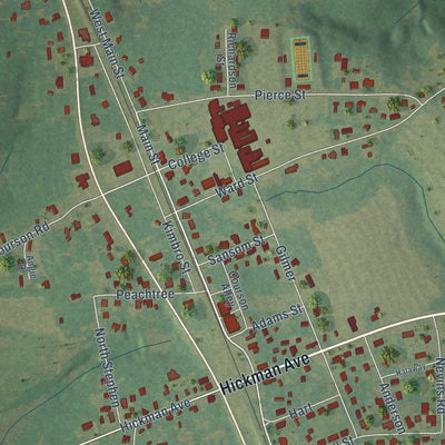 Close-up of the map of Kinston, Alabama print showing street and building detail