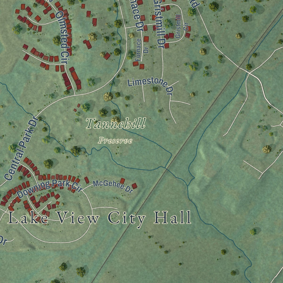 Second close-up of the map of Lake View, Alabama print showing more streets and buildings