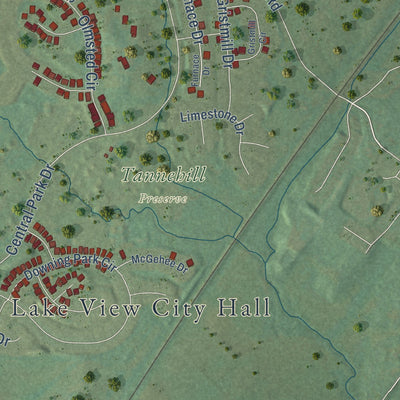 Second close-up of the map of Lake View, Alabama print showing more streets and buildings