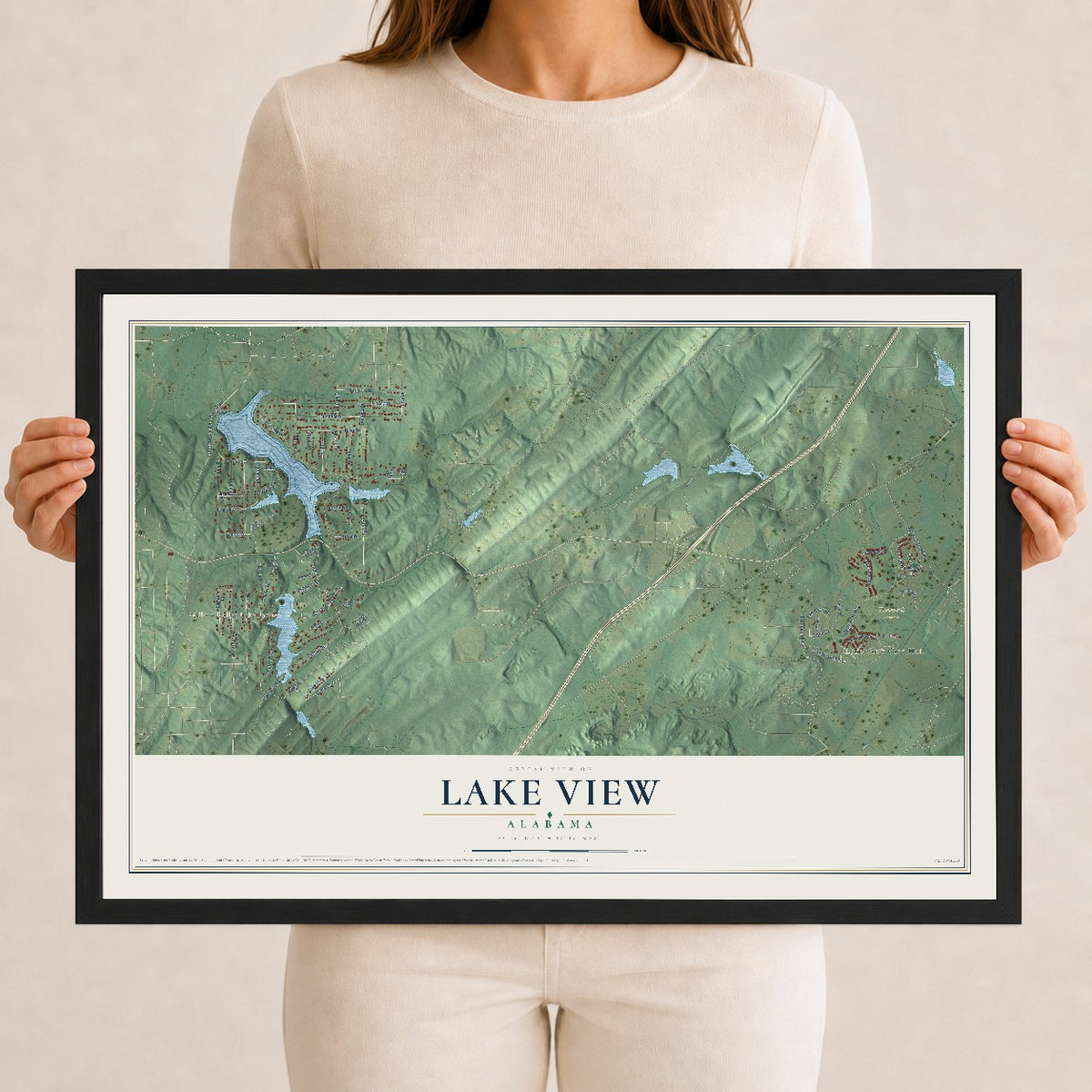 Map of Lake View, Alabama, 12 x 18 inch print in a black wood frame