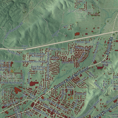 Close-up of the map of Leeds, Alabama print showing street and building detail
