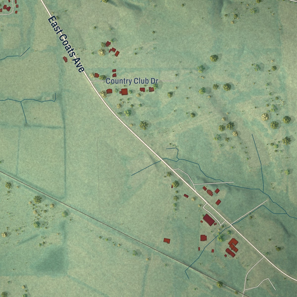 Second close-up of the map of Linden, Alabama print showing more streets and buildings