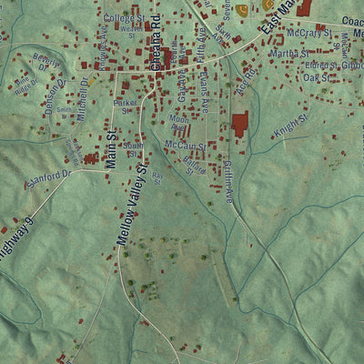 Close-up of the map of Lineville, Alabama print showing street and building detail