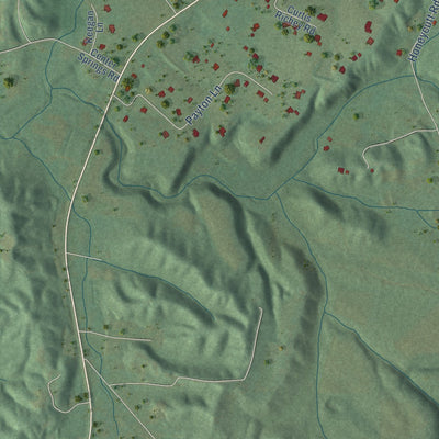 Second close-up of the map of Locust Fork, Alabama print showing more streets and buildings