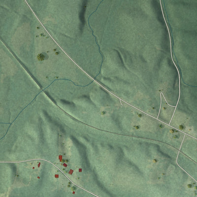 Close-up of the map of Macedonia, Alabama print showing street and building detail