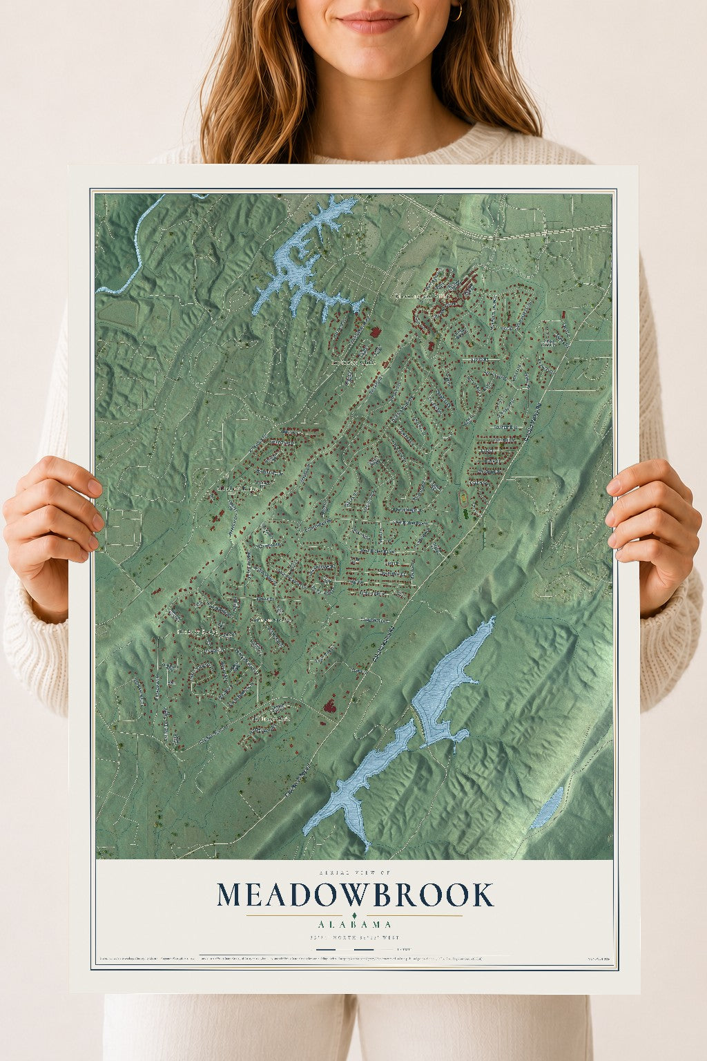 Map of Meadowbrook, Alabama, 18 x 24 inch unframed archival matte print