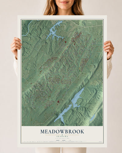 Map of Meadowbrook, Alabama, 24 x 36 inch unframed archival matte print