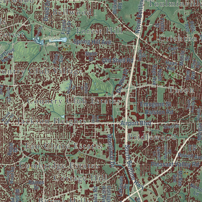 Close-up of the map of Mobile, Alabama print showing street and building detail