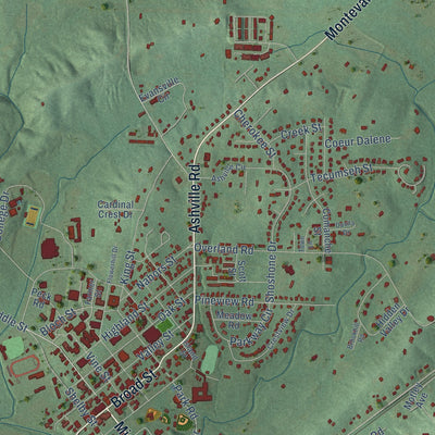 Close-up of the map of Montevallo, Alabama print showing street and building detail