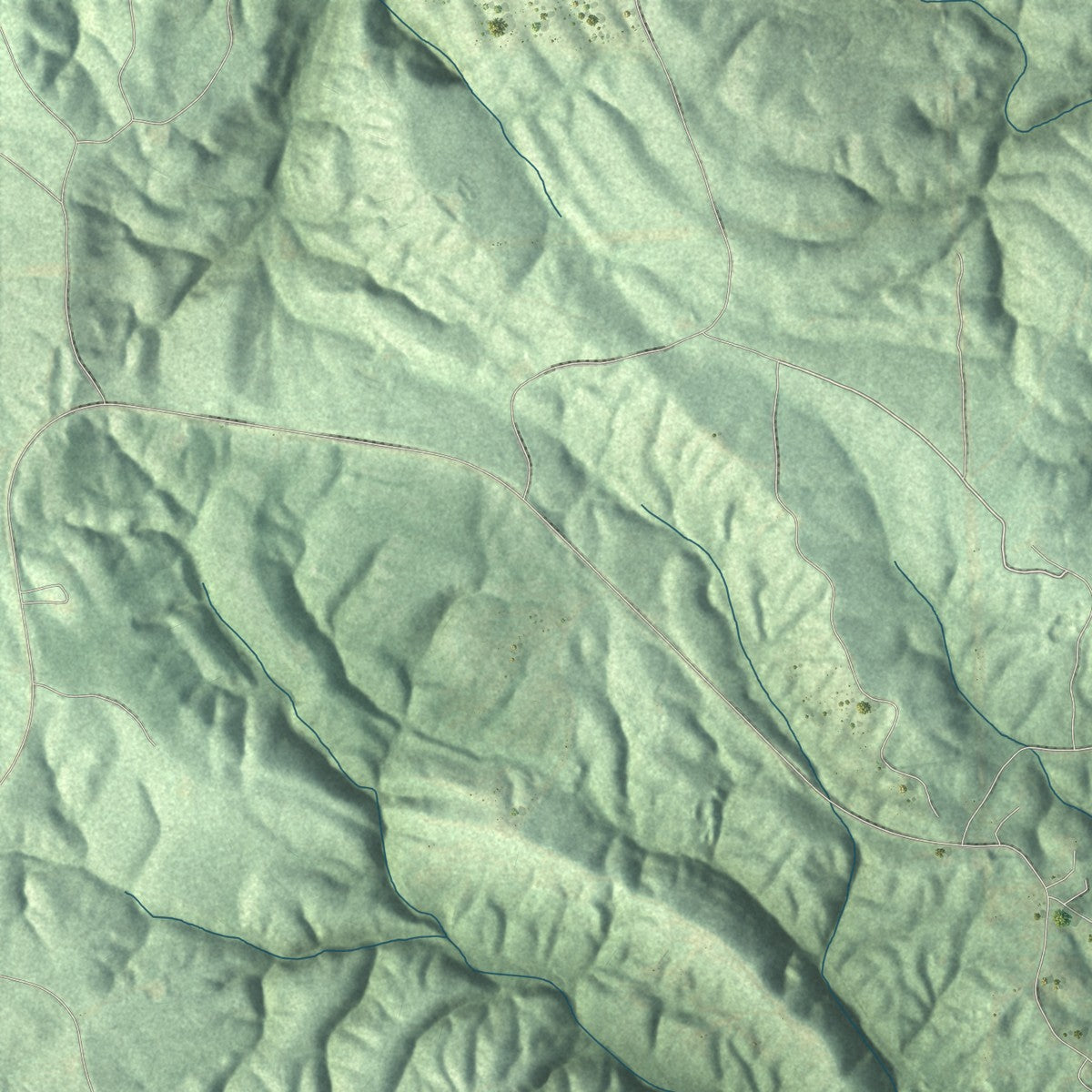 Second close-up of the map of Montevallo, Alabama print showing more streets and buildings