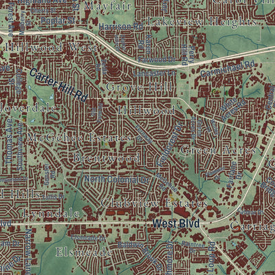 Close-up of the map of Montgomery, Alabama print showing street and building detail