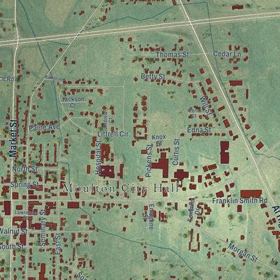 Close-up of the map of Moulton, Alabama print showing street and building detail