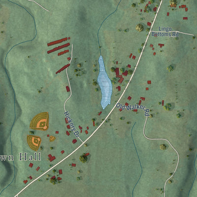Second close-up of the map of Nectar, Alabama print showing more streets and buildings