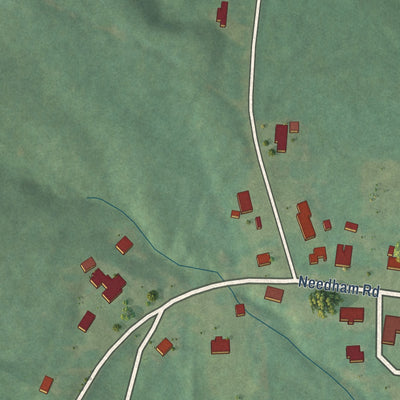 Close-up of the map of Needham, Alabama print showing street and building detail