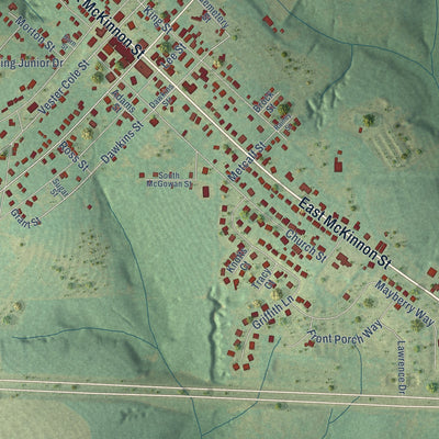 Close-up of the map of New Brockton, Alabama print showing street and building detail