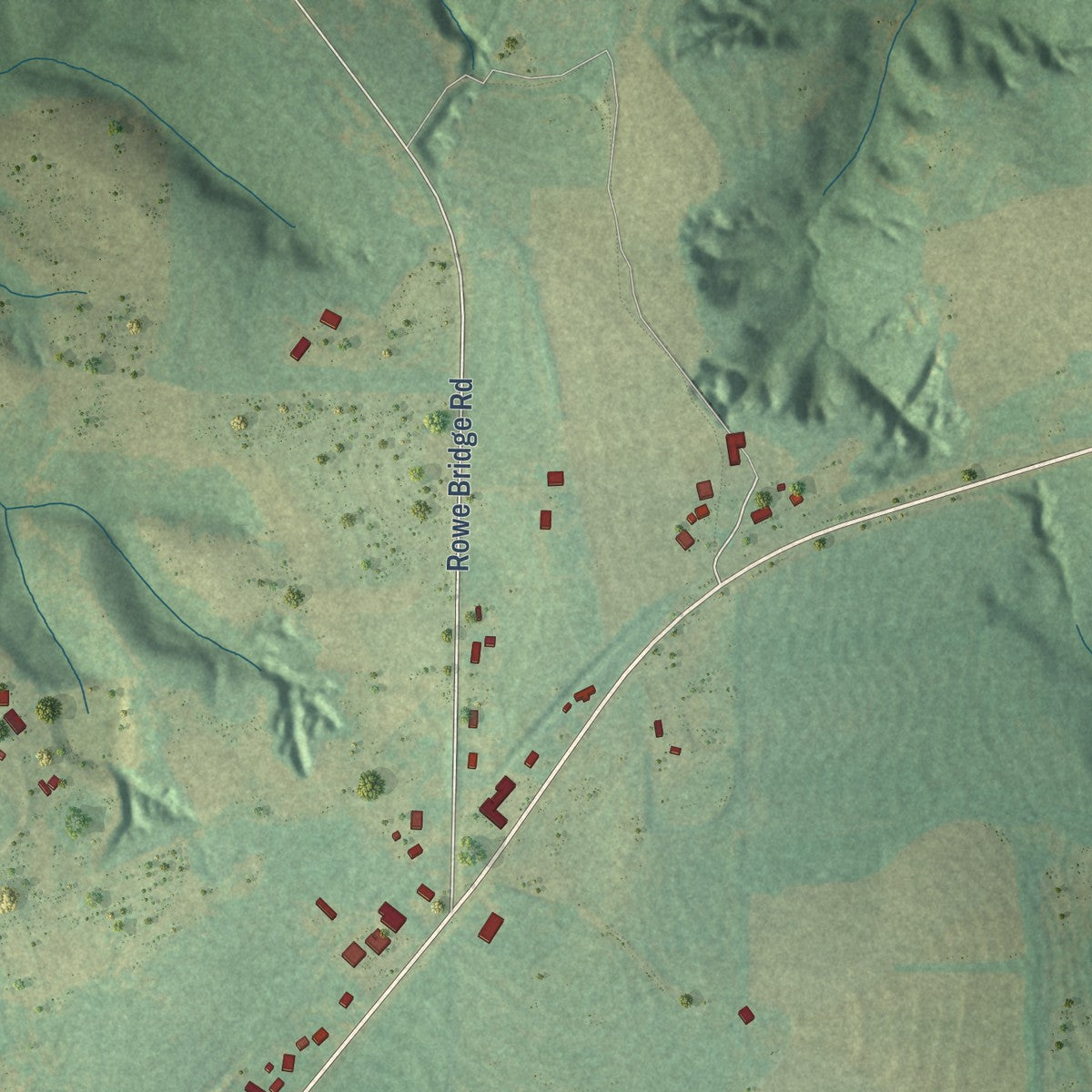 Second close-up of the map of New Brockton, Alabama print showing more streets and buildings