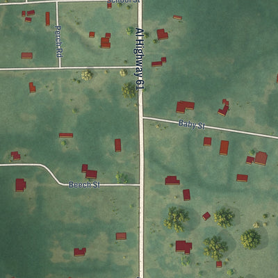 Close-up of the map of Newbern, Alabama print showing street and building detail