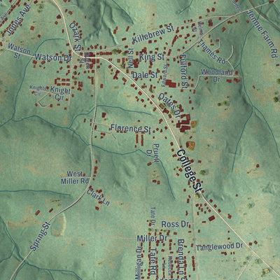 Close-up of the map of Newton, Alabama print showing street and building detail