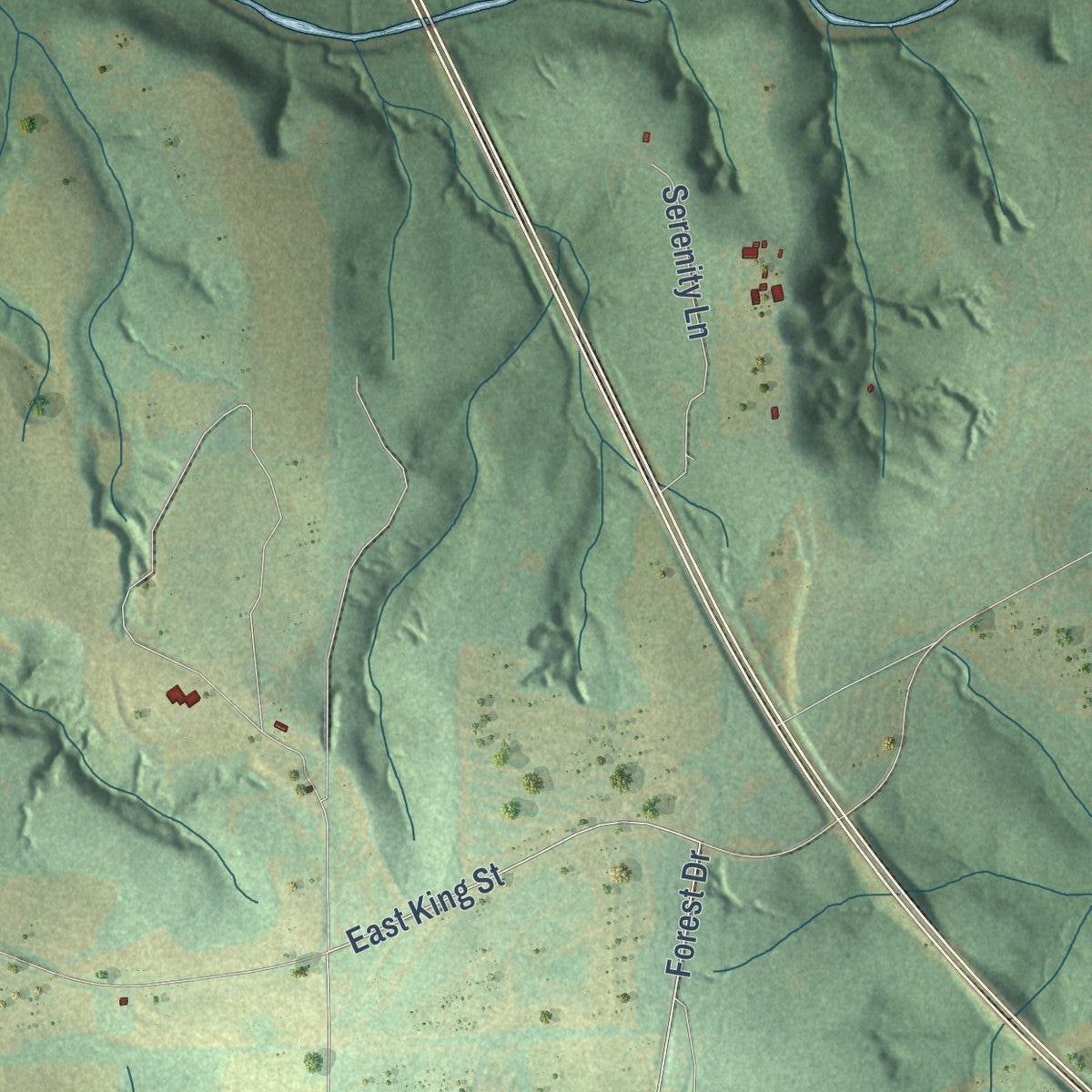 Second close-up of the map of Newton, Alabama print showing more streets and buildings