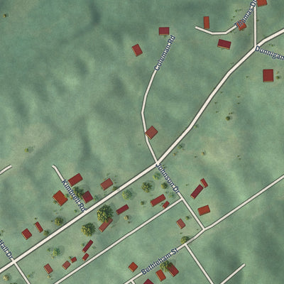 Close-up of the map of North Johns, Alabama print showing street and building detail