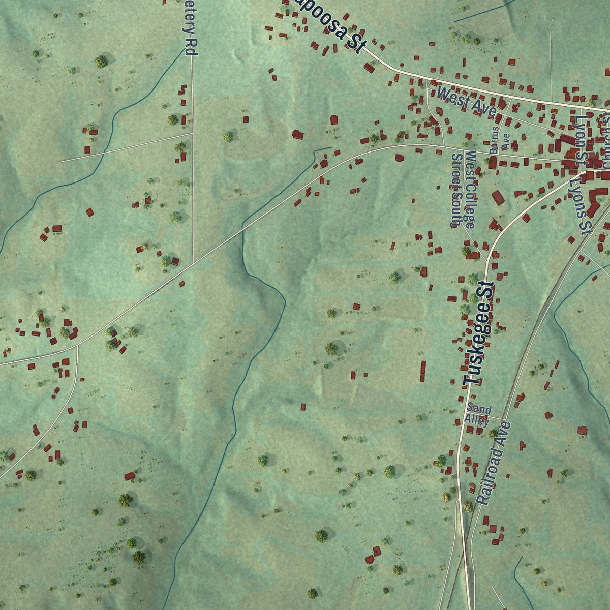 Close-up of the map of Notasulga, Alabama print showing street and building detail