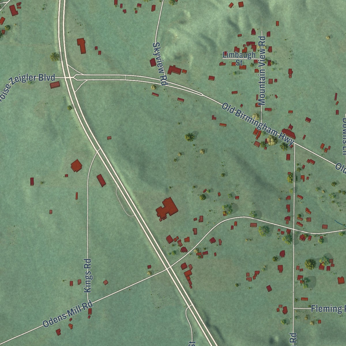 Close-up of the map of Oak Grove, Alabama print showing street and building detail