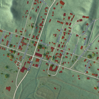 Close-up of the map of Oakman, Alabama print showing street and building detail