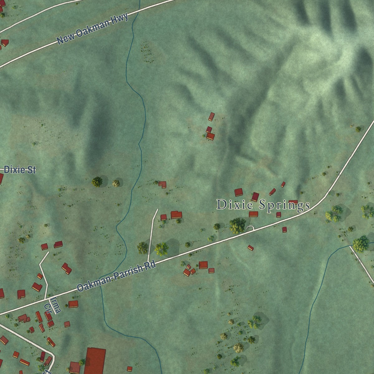 Second close-up of the map of Oakman, Alabama print showing more streets and buildings
