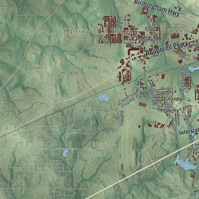 Second close-up of the map of Opelika, Alabama print showing more streets and buildings