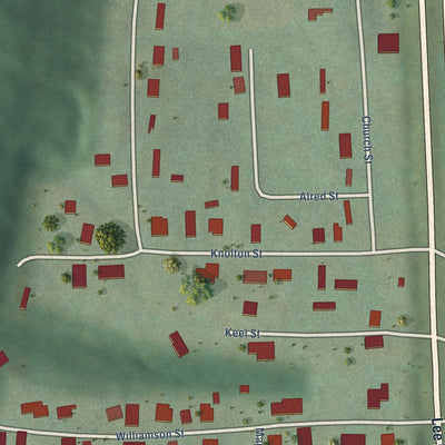 Close-up of the map of Paint Rock, Alabama print showing street and building detail