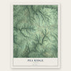 Pea Ridge, Alabama map print, the full design